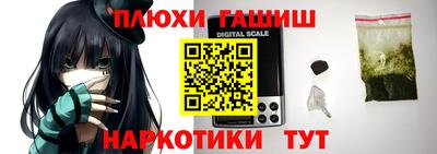 прущие крисы Гатчина