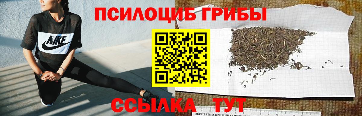 Галлюциногенные грибы мицелий Белорецк